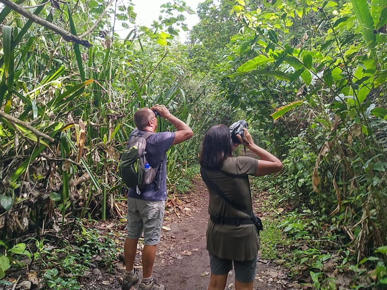 Chilamate Room 2 Tortuguero Dış mekan fotoğraf